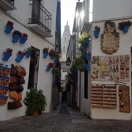 Centro Apartamento *