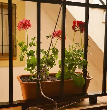 Apartment Centro